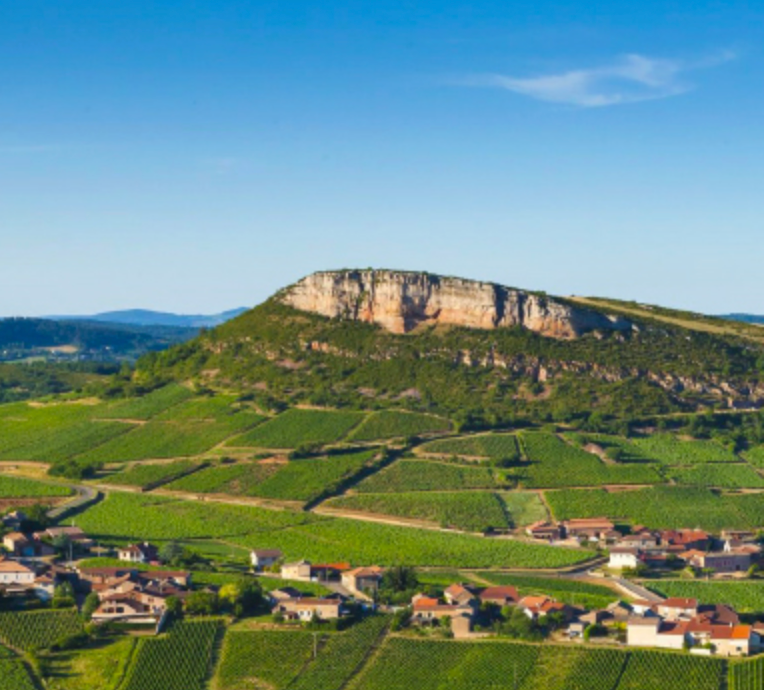 Eric Forest, Pouilly-Fuissé,  Les Crays,  Magnum