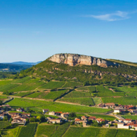 Eric Forest, Pouilly-Fuissé, Les Crays, Magnum