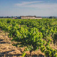 Berthet-Rayne - ERATO rouge sans sulfite ajouté bio